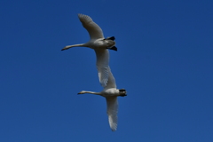 行ってきました３