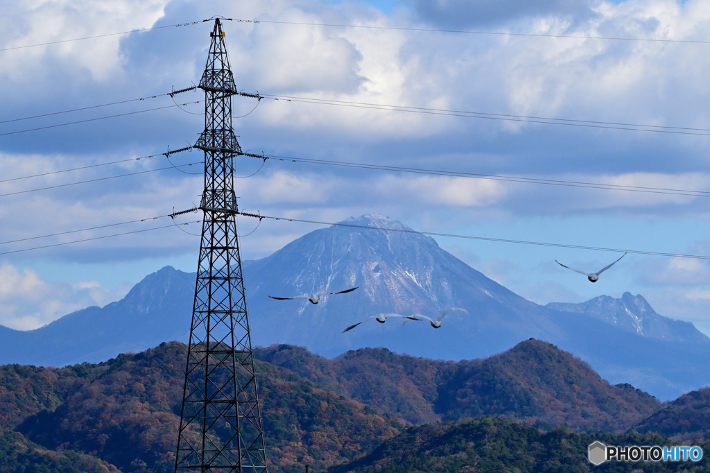 大山と白鳥と鉄塔