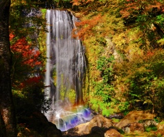 カッパ滝の虹