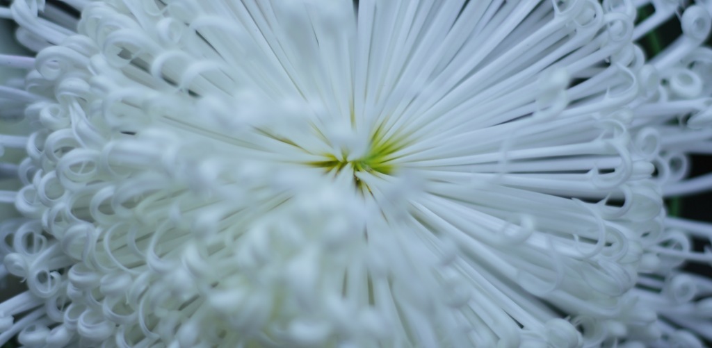 花火