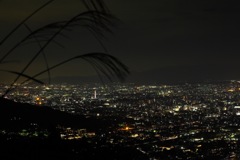 京都夜景とススキ