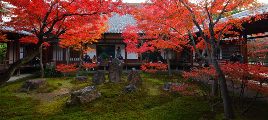 これが借景と言うのか、絶景だな