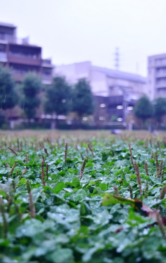 雨の気配