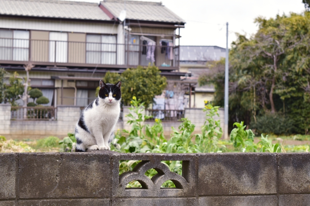 ただ、ここにいる