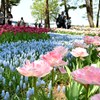 陽射しを浴びて