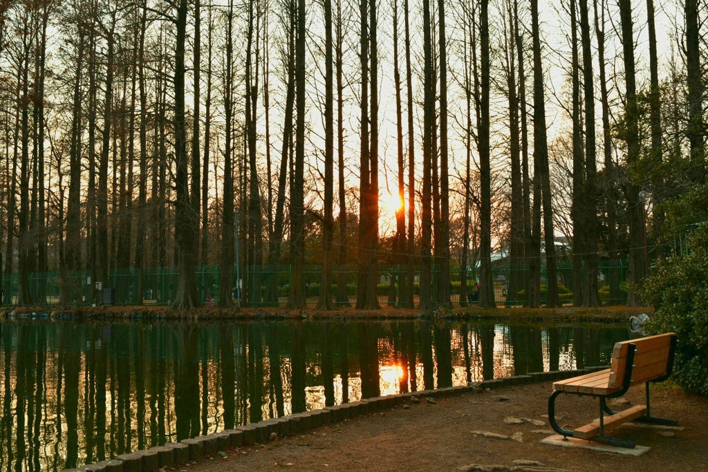 夕方の公園