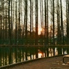 夕方の公園