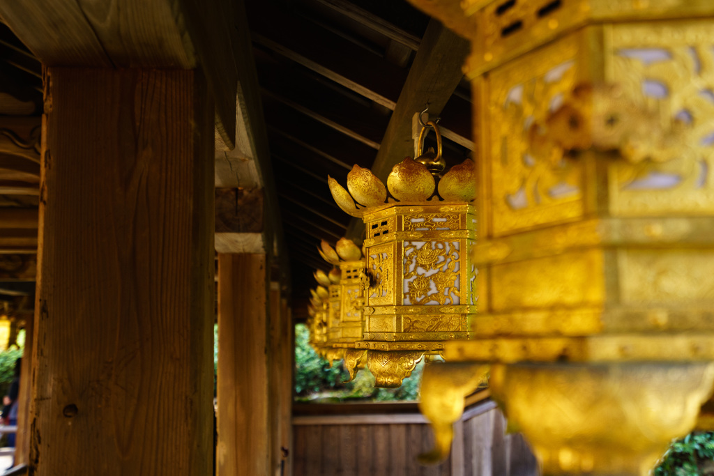 京都 総本山 光明寺