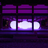 下賀茂神社 光の祭