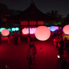 下賀茂神社 光の祭