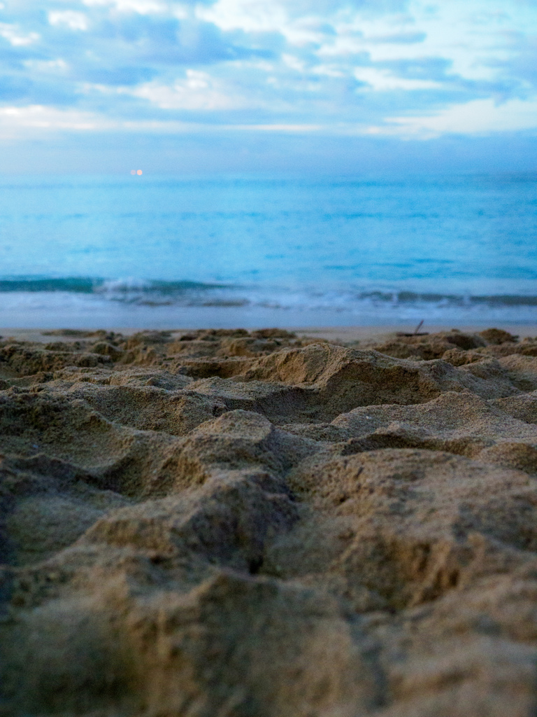 THE BEACH