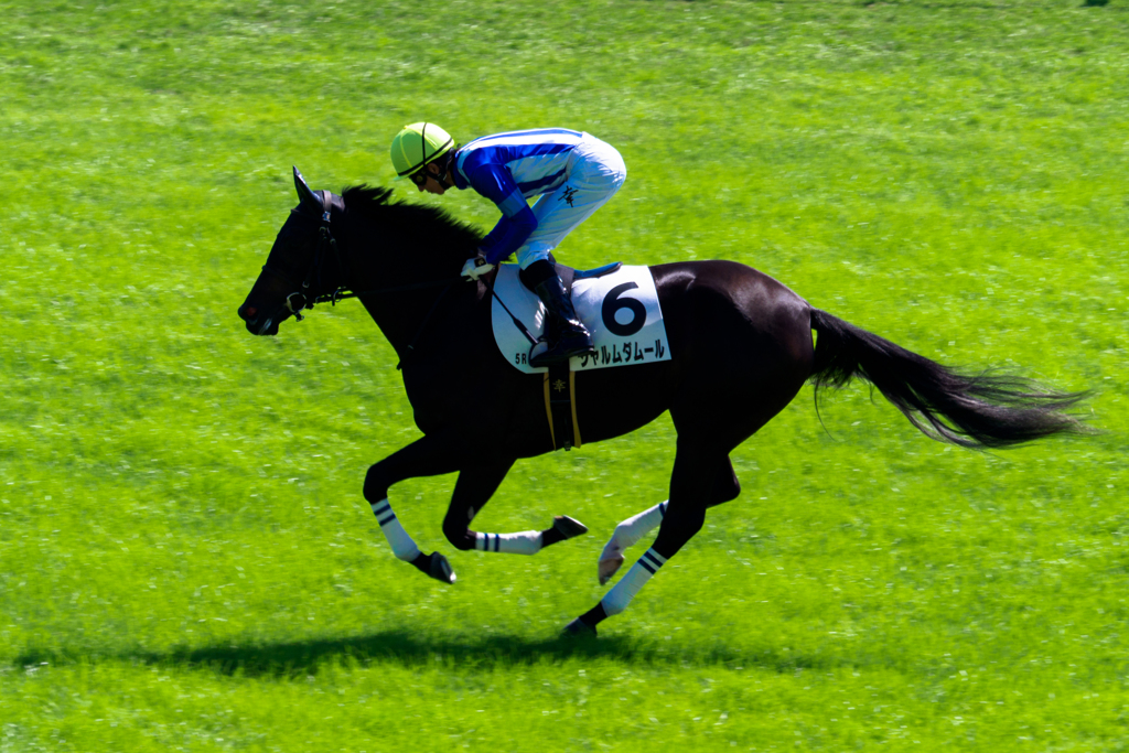 京都競馬場 京都大賞典 2018