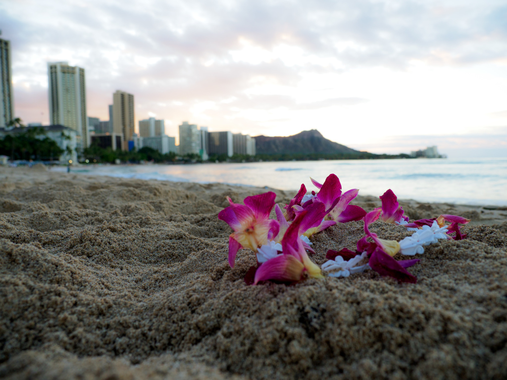 ALOHA