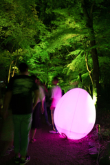 下賀茂神社 光の祭