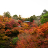 臨済宗大本山 東福寺 紅葉