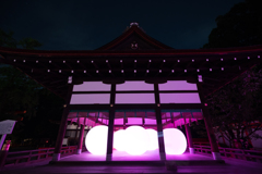 下賀茂神社 光の祭