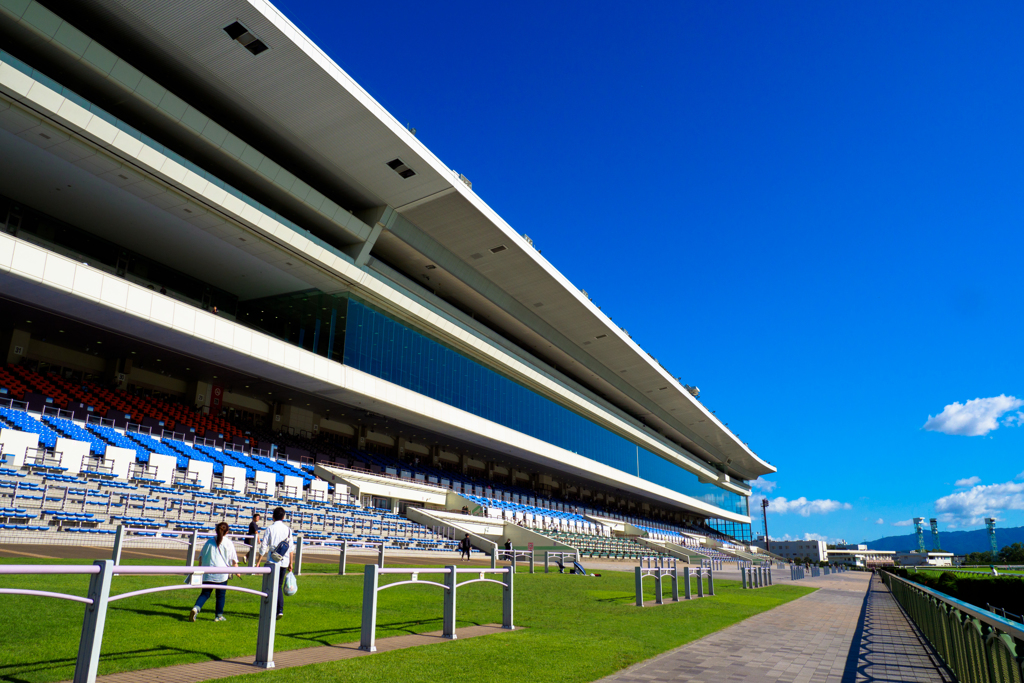 京都競馬場 京都大賞典 2018