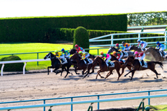 京都競馬場 京都大賞典 2018