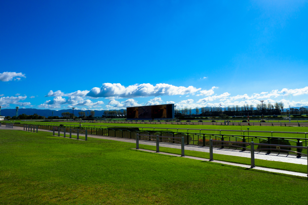 京都競馬場 京都大賞典 2018