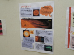 DSCN1706