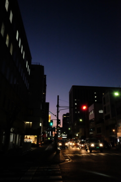 おうちへ帰ろう