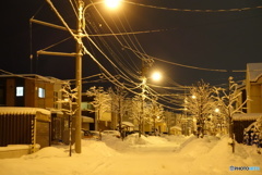 雪の散歩路