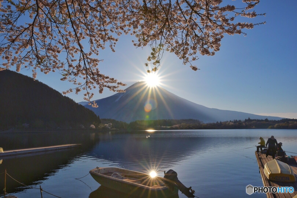 春色の朝