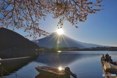 春色の朝