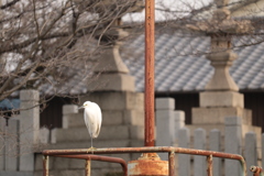 年の瀬の姫路