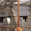年の瀬の姫路