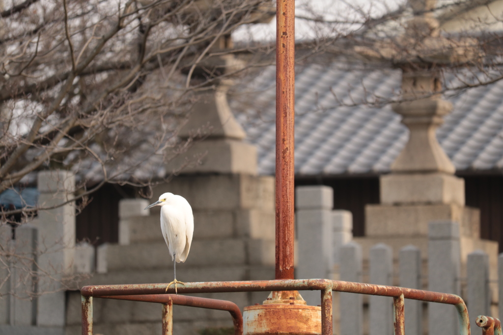 寒そう