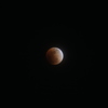 Total eclipse of the moon