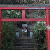 朝の散歩で2