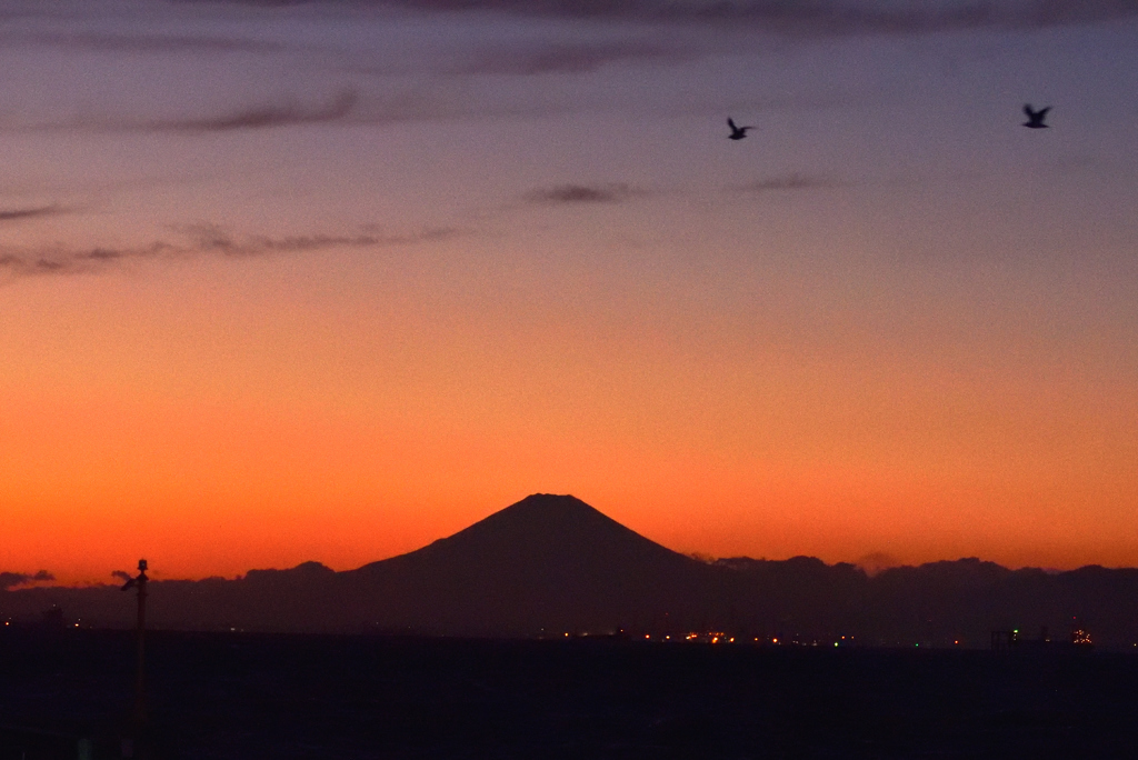 夕映えの黒富士　～江川海岸～