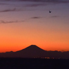 夕映えの黒富士　～江川海岸～