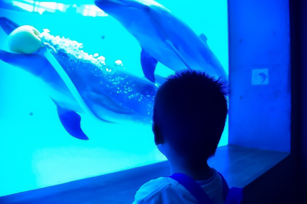 水族館