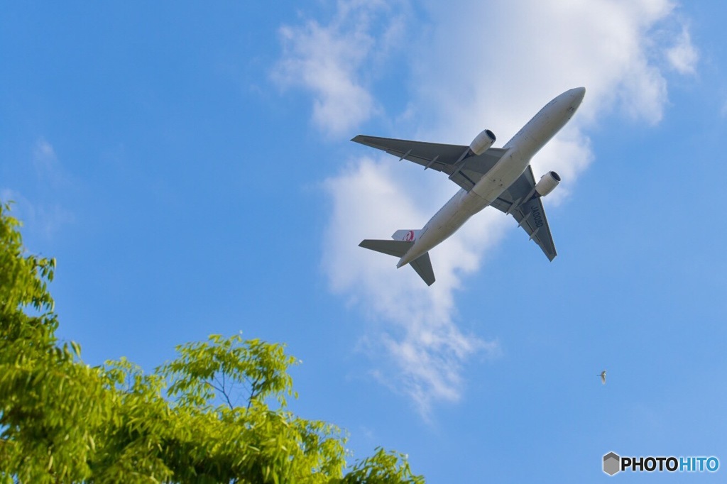 飛行機