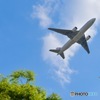 飛行機
