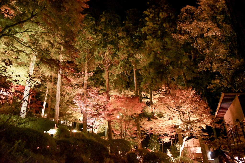 大興善寺