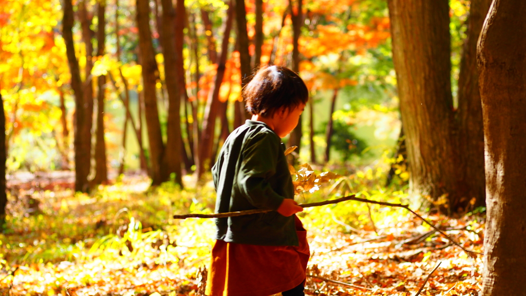 紅葉 探検隊