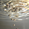 金魚の吐息