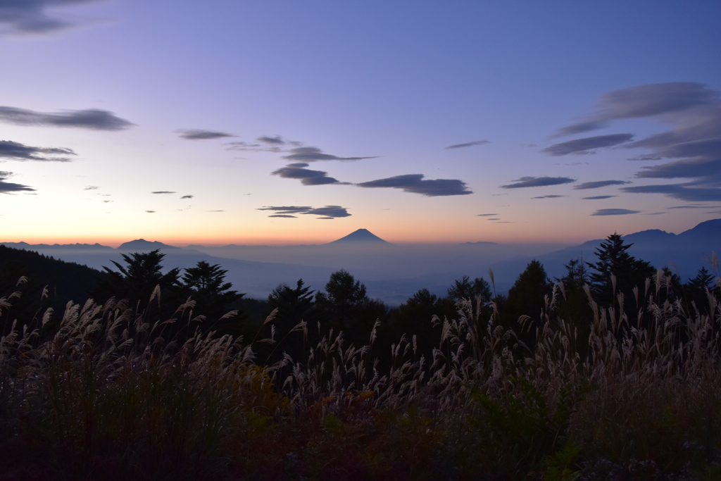 富士山とすすき