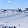 雪紋･･･シュカブラ