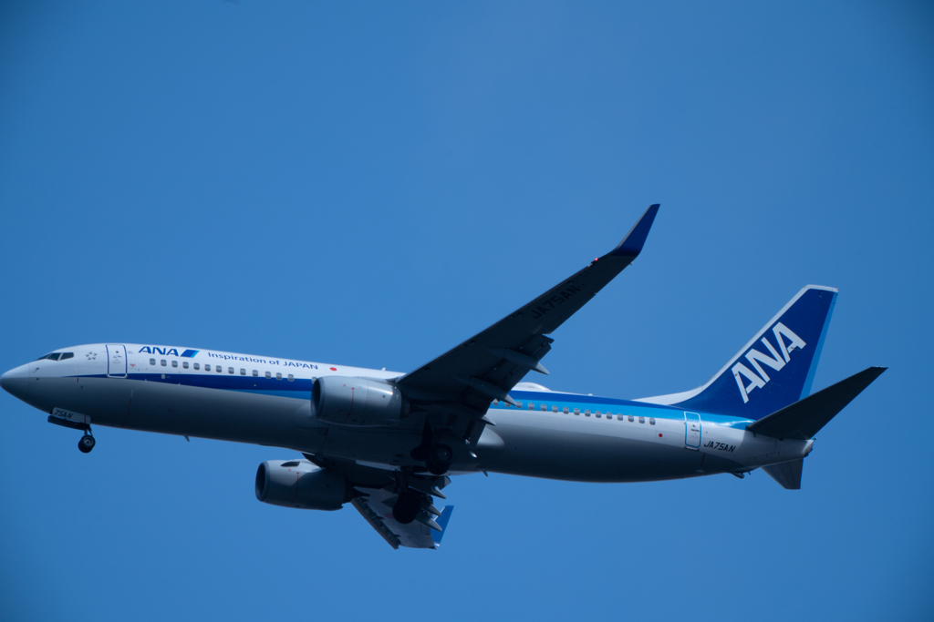 ウトナイ湖上空　飛行機