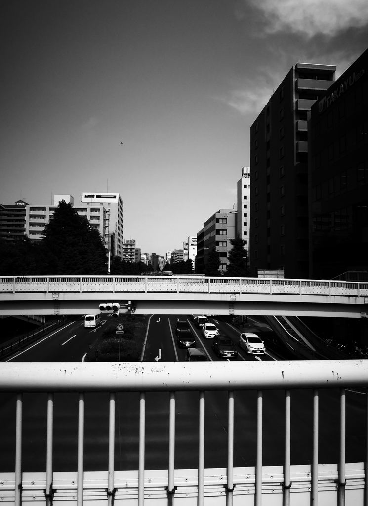 召し上がれ俺の道草！　「まあね」