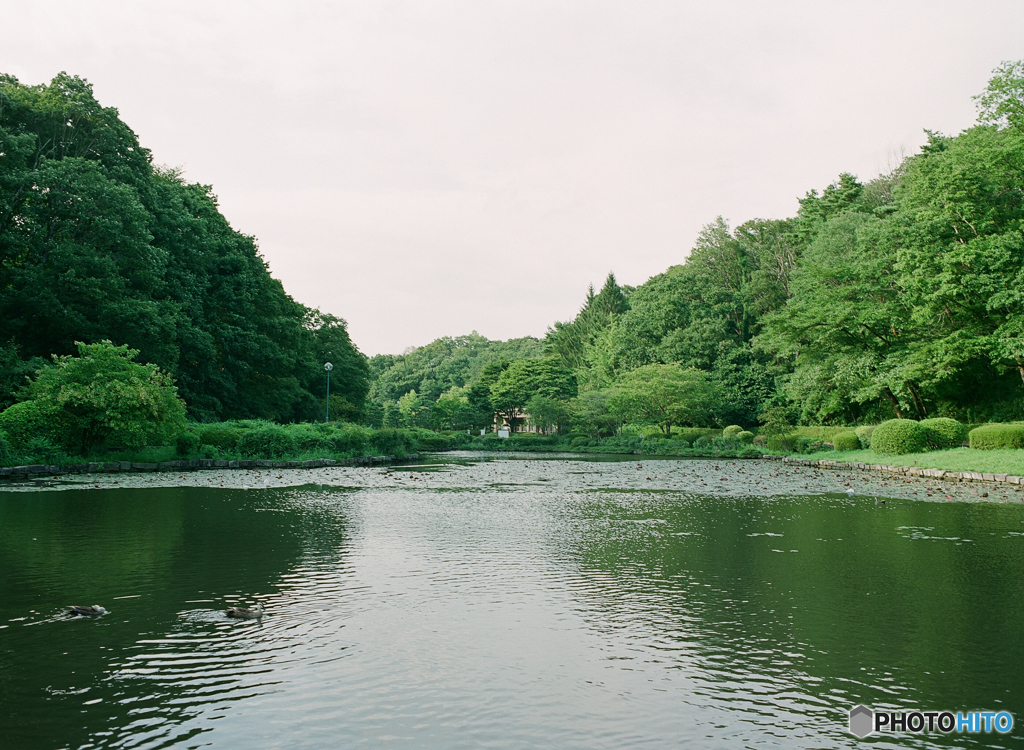 公園の写真