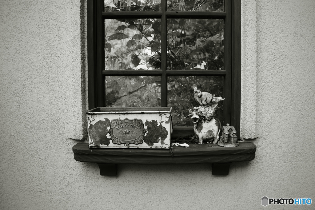 シリーズ 嫁の激写 「 窓の置物。かわいい 」