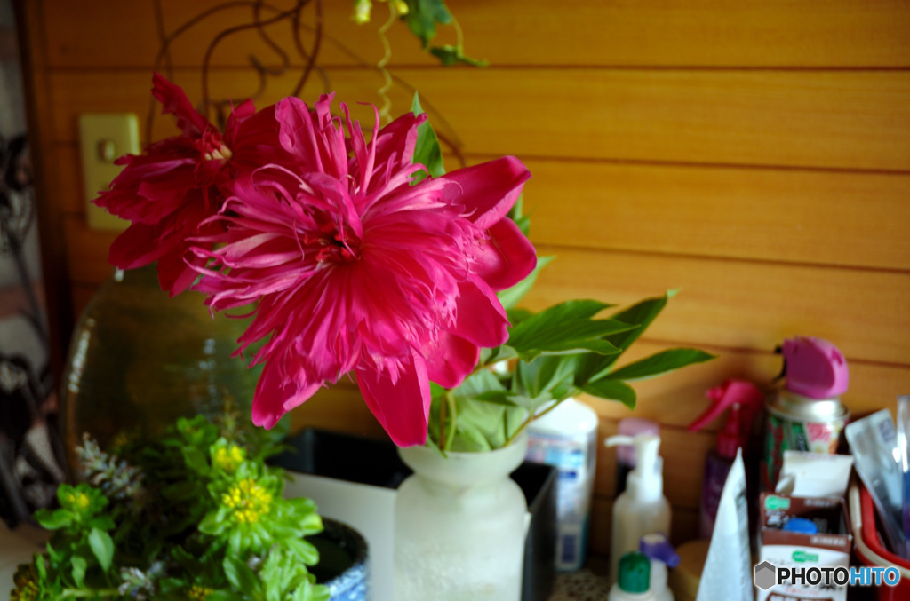 おばあちゃんの活け花「お手洗」