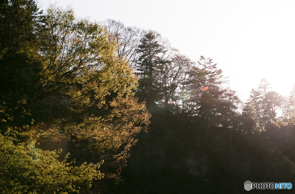 普通の日。