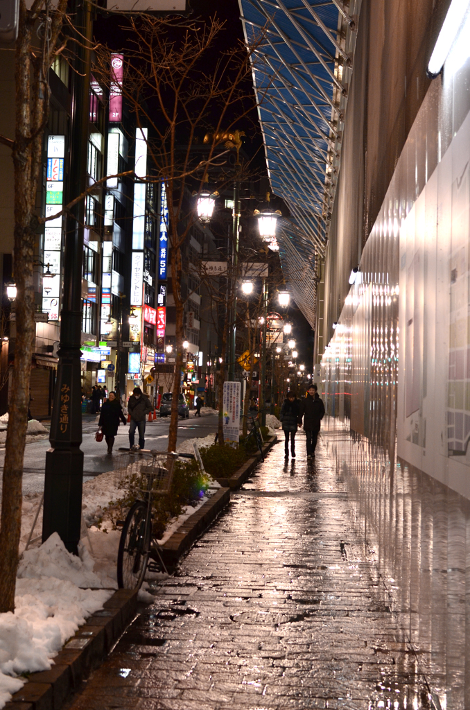 雪解けの並木通り